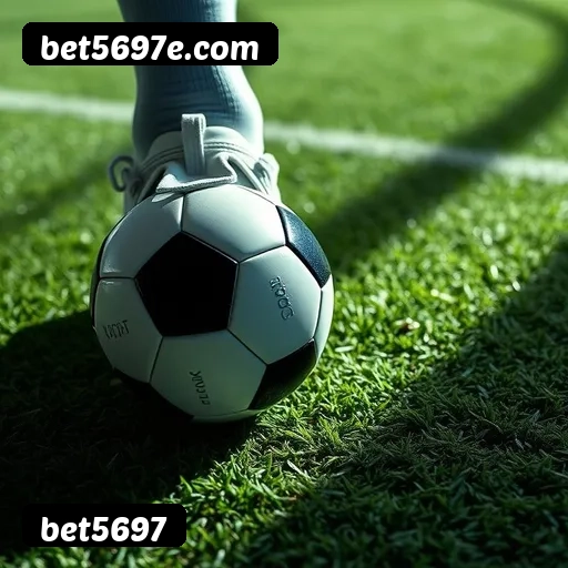 Suporte 24 horas bet5697